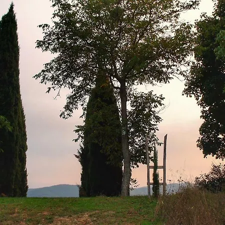 Casa Agricola Rossi In Casentino Soci