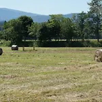 Casa Agricola Rossi In Casentino Κατάλυμα σε φάρμα *