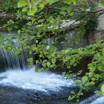 Κατάλυμα σε φάρμα Casa Agricola Rossi In Casentino *
