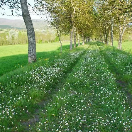 Feriegård Casa Agricola Rossi In Casentino Soci