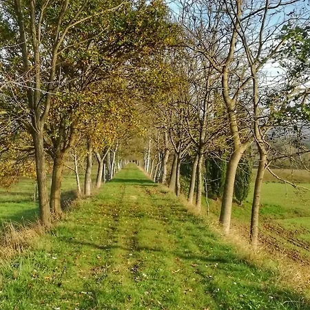 Farm stay Casa Agricola Rossi In Casentino Soci