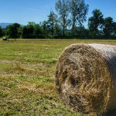 Casa Agricola Rossi In Casentino Soci