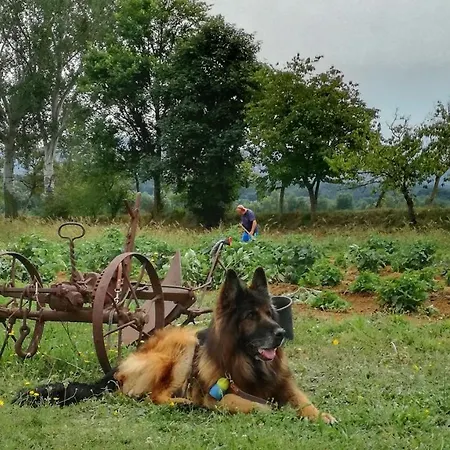 Casa Agricola Rossi In Casentino Soci