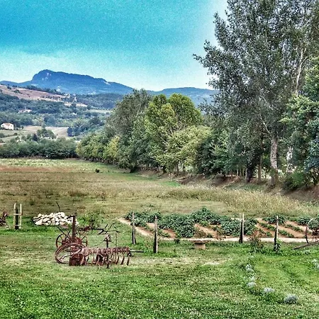 Casa Agricola Rossi In Casentino * Soci