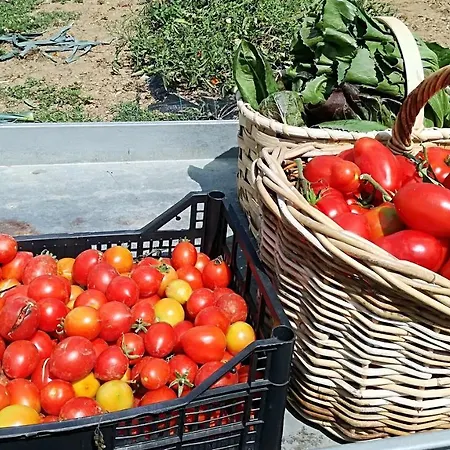 Casa Agricola Rossi In Casentino Farm stay