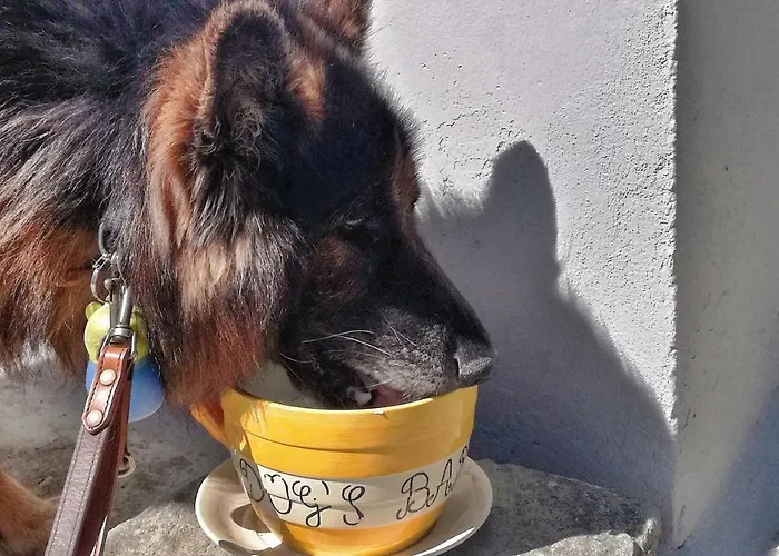 Casa Agricola Rossi In Casentino *