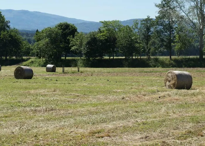 Casa Agricola Rossi In Casentino 农家乐 *