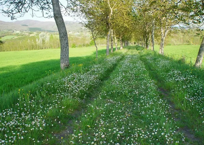 农家乐 Casa Agricola Rossi In Casentino Soci