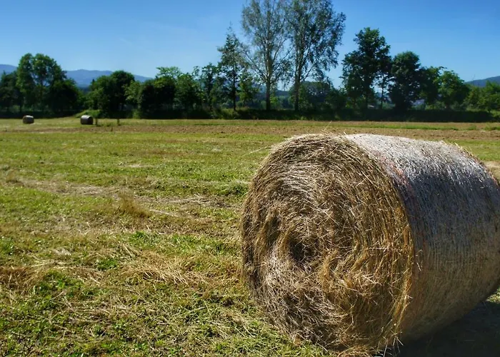 Casa Agricola Rossi In Casentino Soci