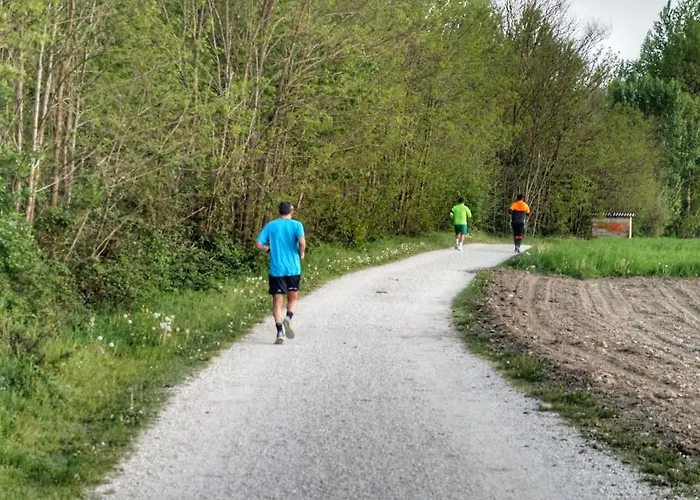 农家乐 Casa Agricola Rossi In Casentino