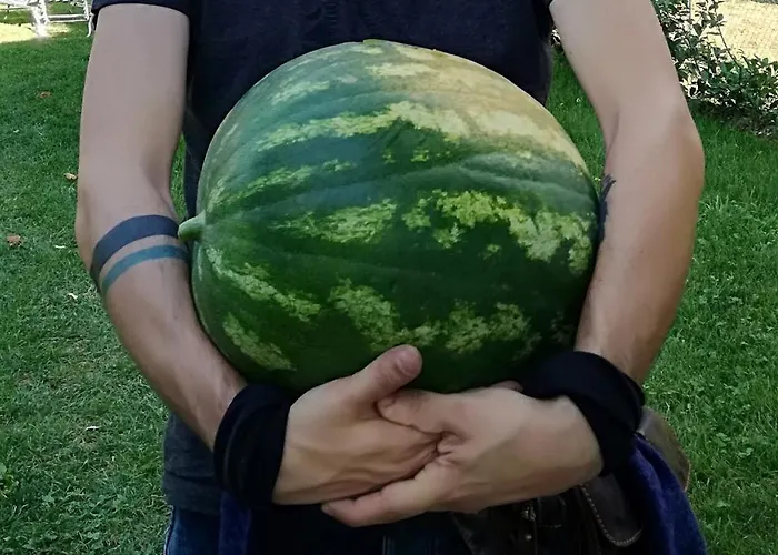 Casa Agricola Rossi In Casentino