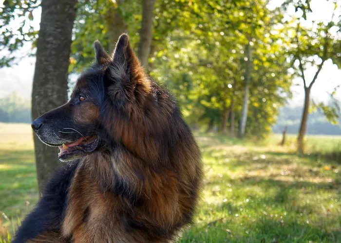 Casa Agricola Rossi In Casentino Soci