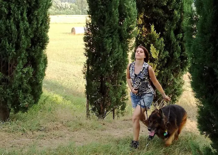 Casa Agricola Rossi In Casentino 农家乐 Soci