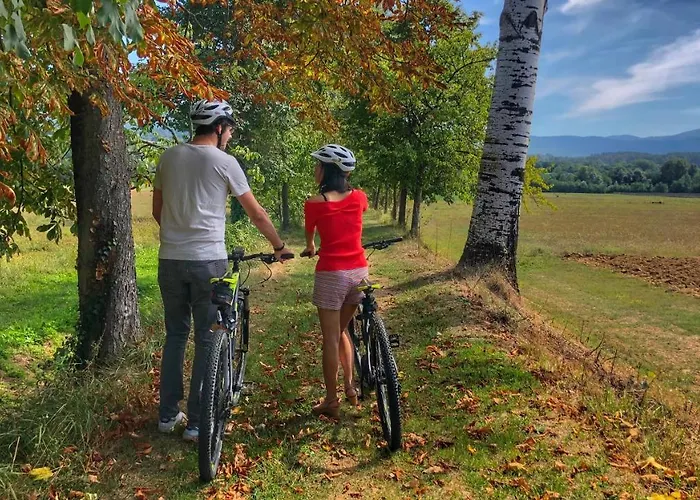 Casa Agricola Rossi In Casentino 农家乐