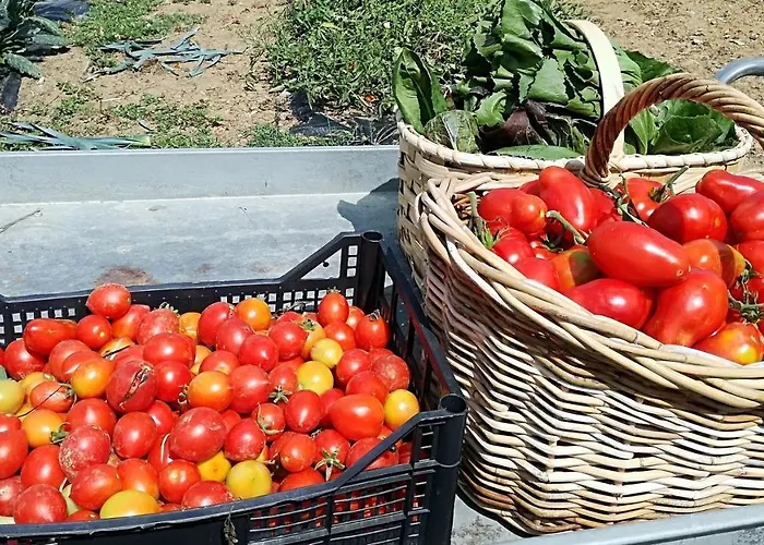 Casa Agricola Rossi In Casentino 农家乐